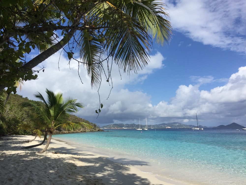 Virgin Islands National Park » National Park Trust