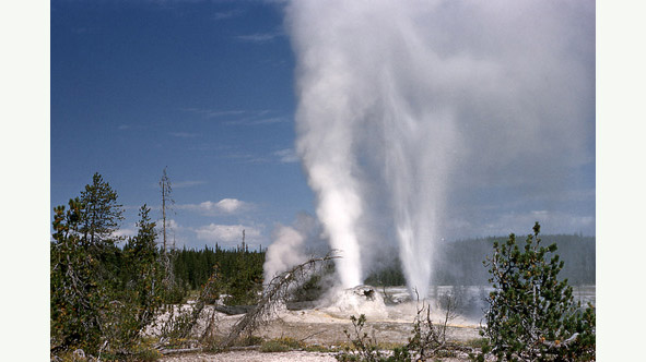 BUDDY BISON’S BAKING SODA GEYSER