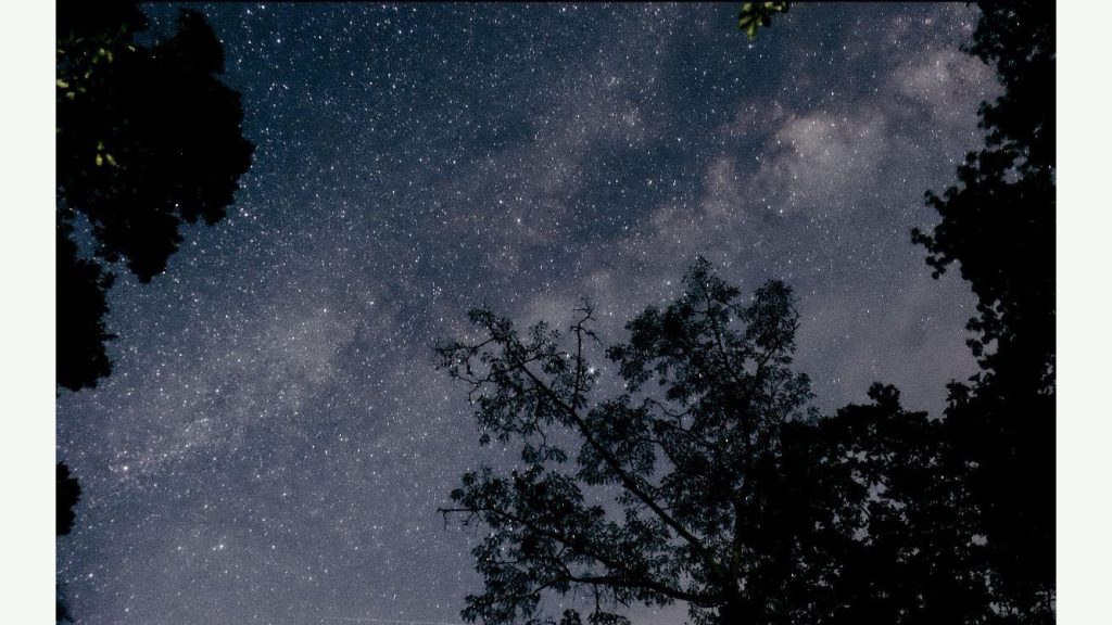 BRINGING DARK SKIES INSIDE WITH BUDDY BISON