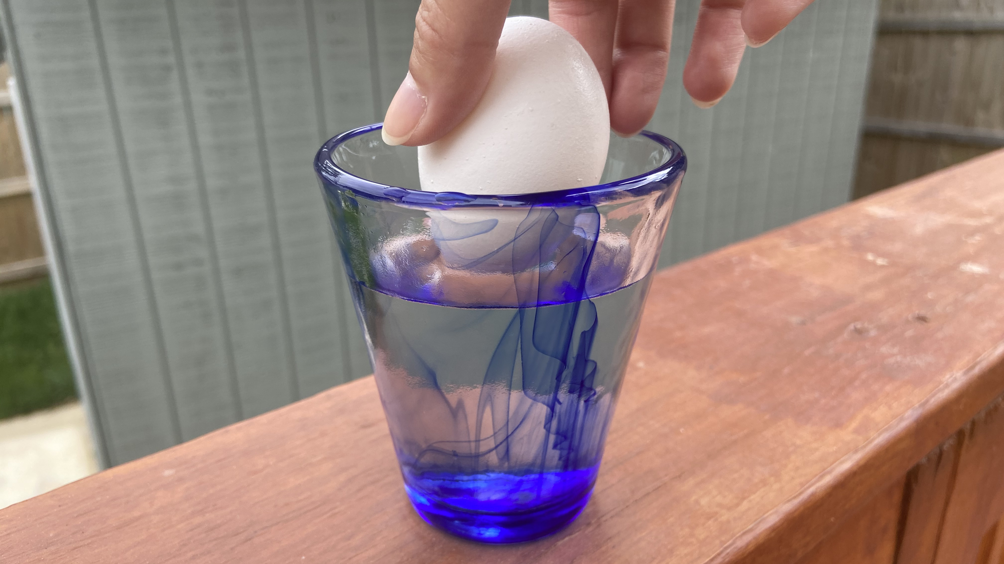 LEARNING ABOUT DENSITY IN SALTWATER VS. FRESH WATER