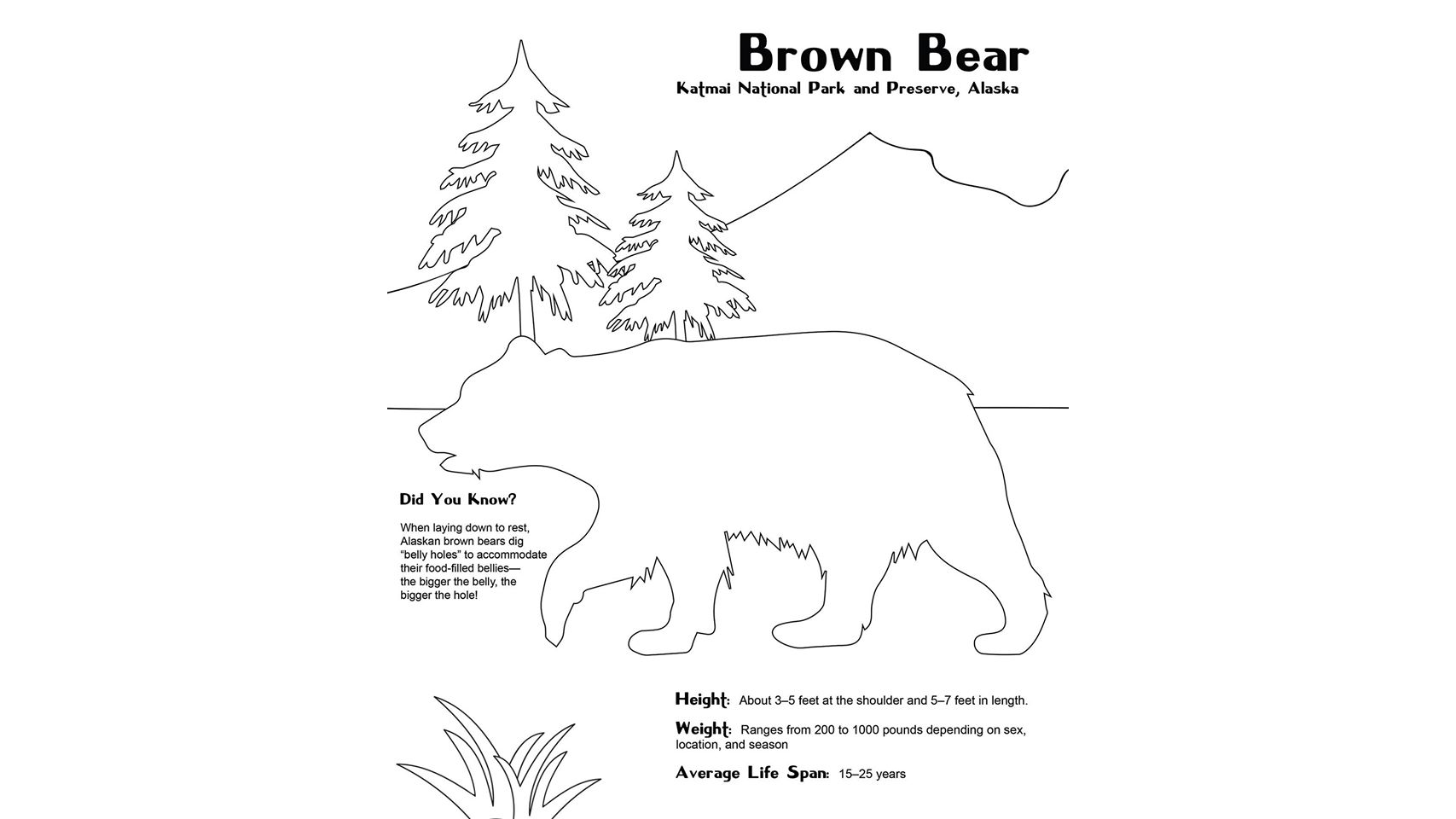 KATMAI NATIONAL PARK AND PRESERVE