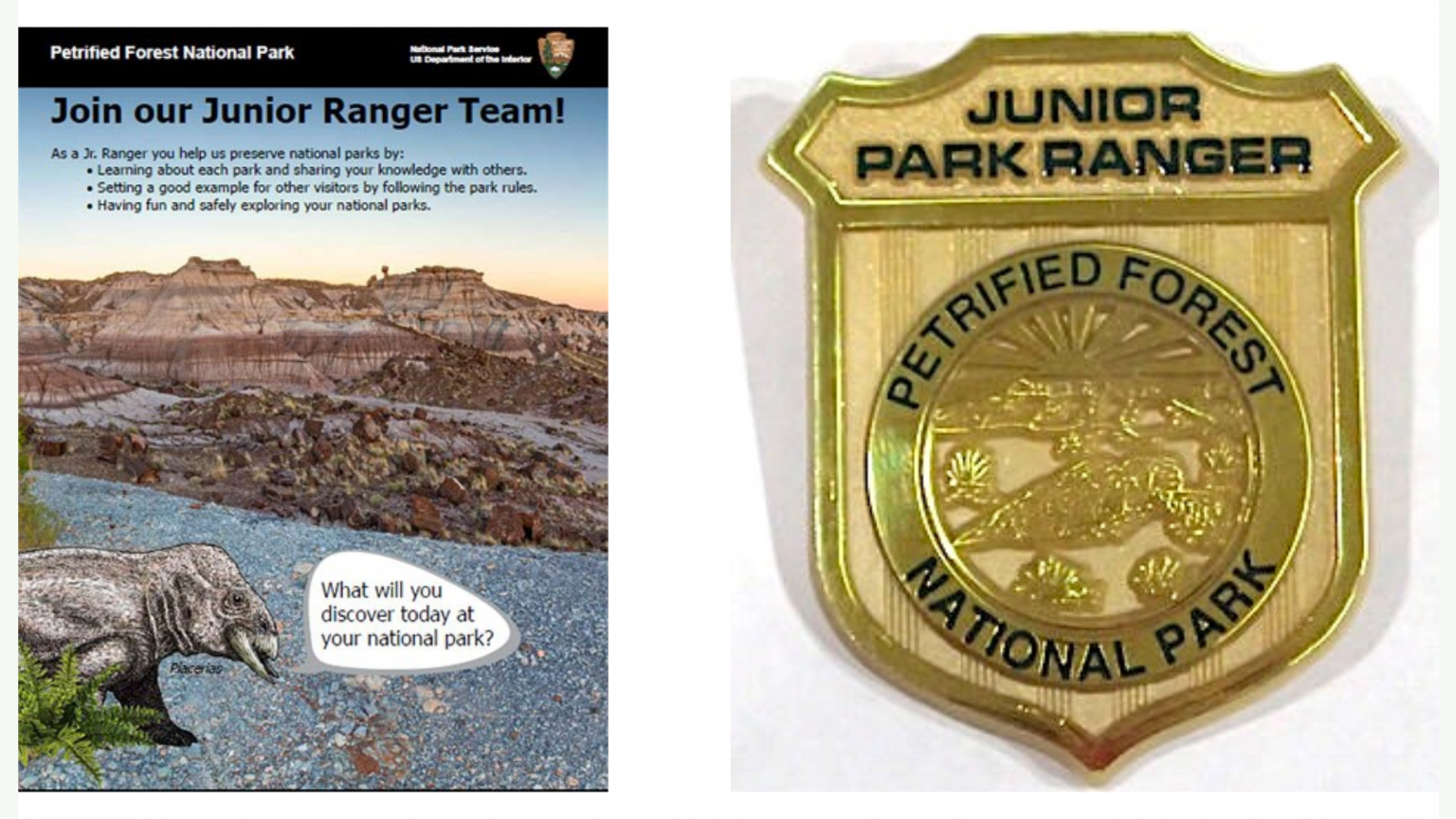 10 Junior Ranger Badges You Can Earn From Home - National Park Trust