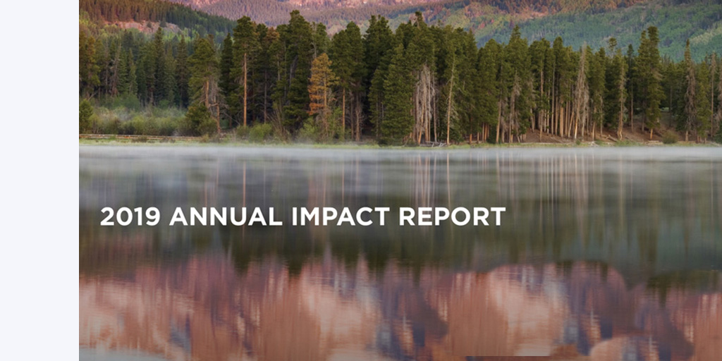 2019 Annual Impact Report