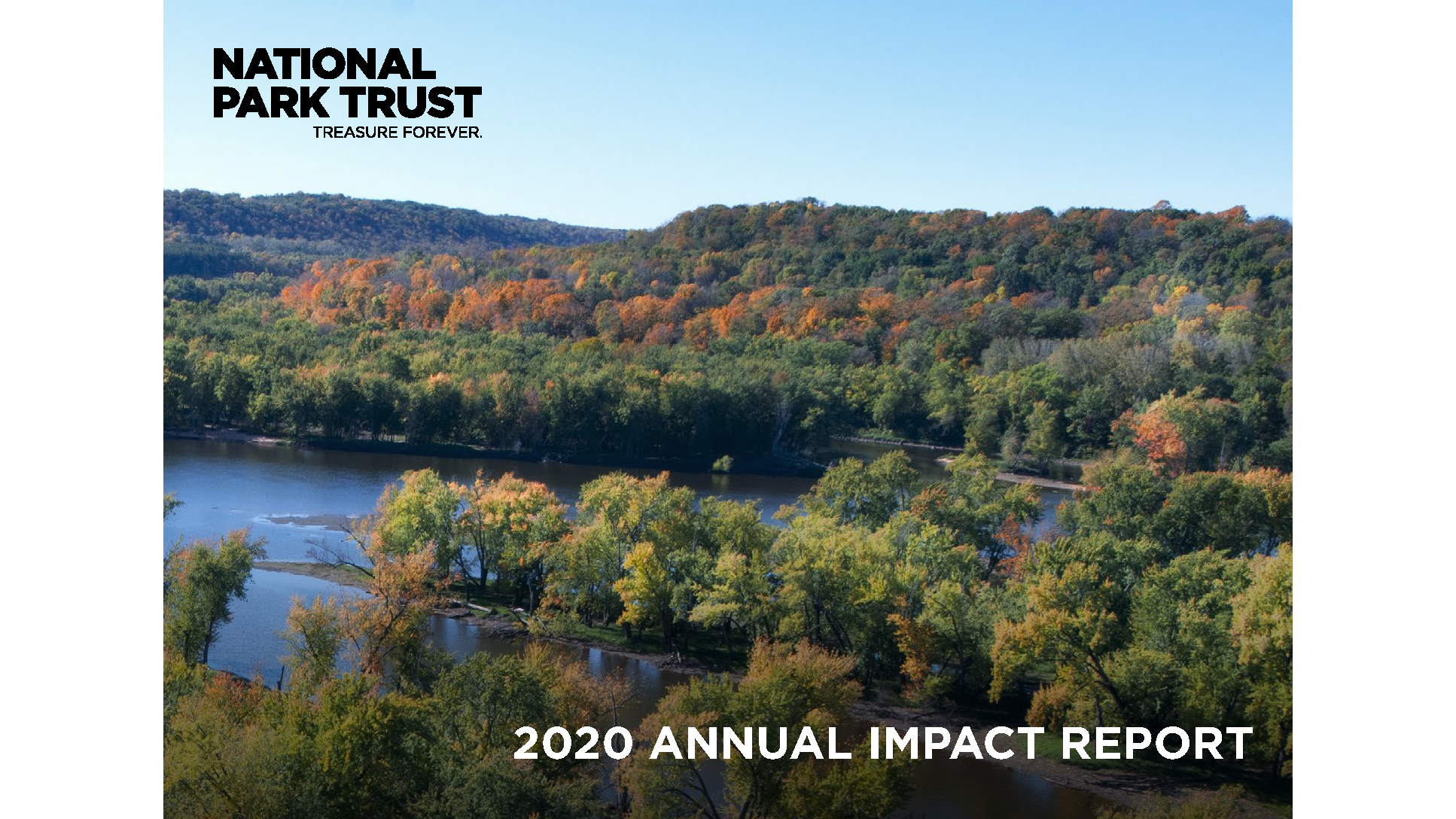 2020 Annual Impact Report