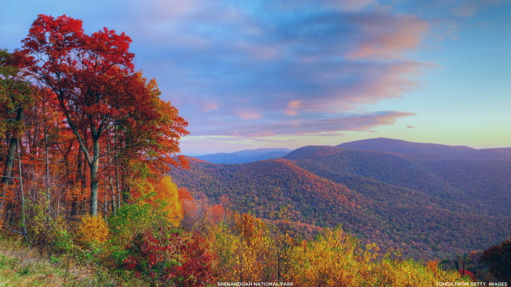 Experience Fall Foliage In Our National Parks - National Park Trust