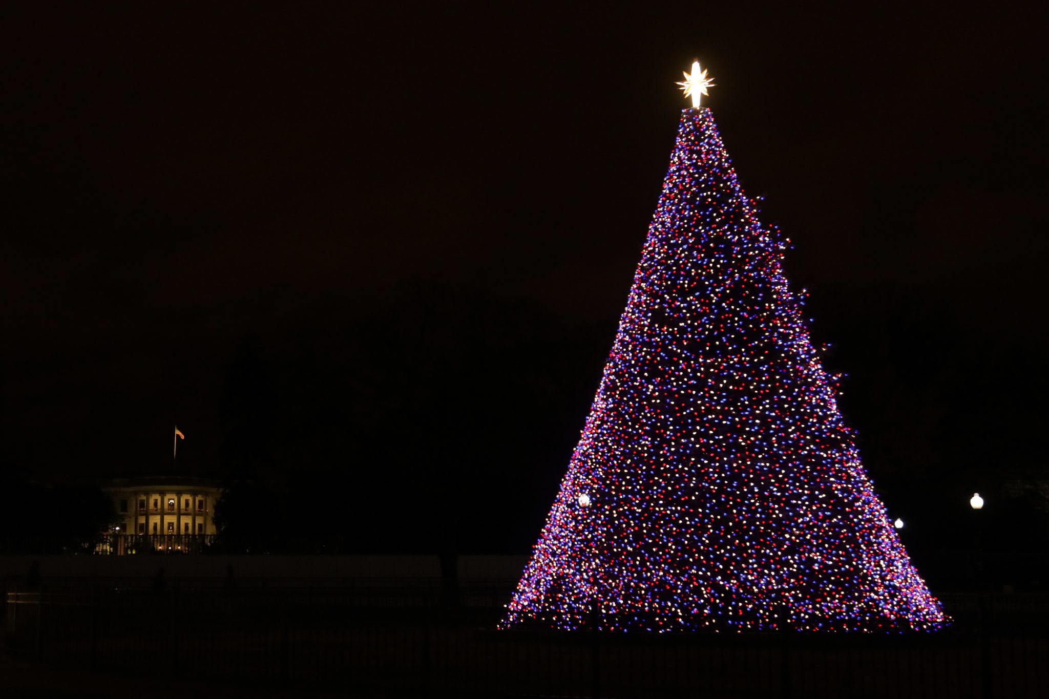 President's Park National Christmas Tree Tour Sign-Up Form - National Park Trust