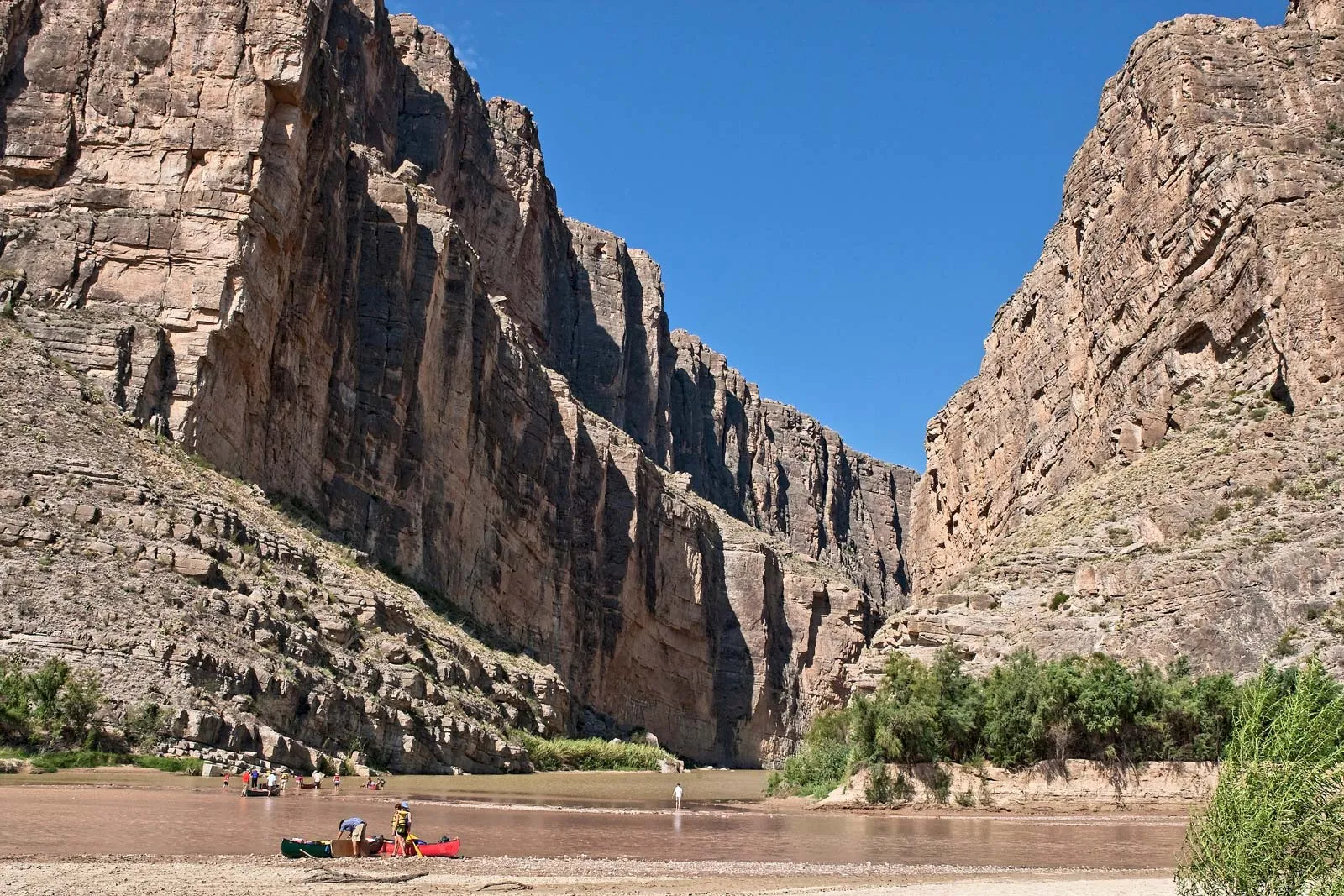 are dogs allowed at big bend national park