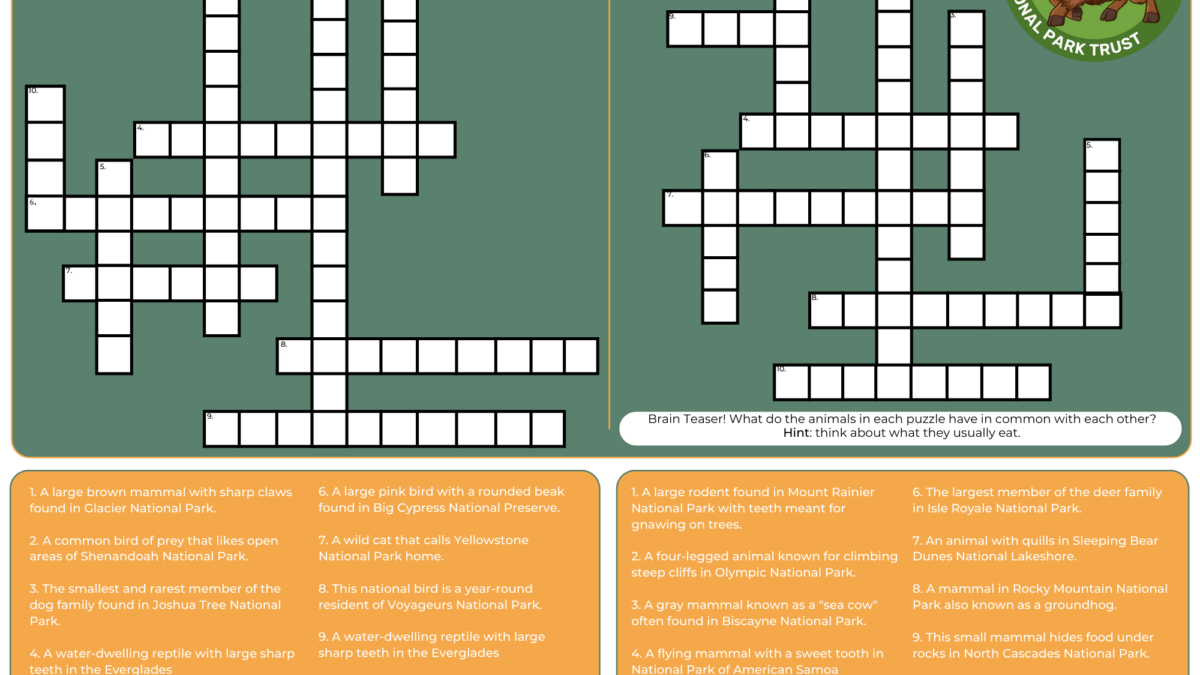 BUDDY BISON S ANIMALS OF NATIONAL PARKS CROSSWORD PUZZLE National Park Trust buddy-bison-s-animals-of-national-parks-crossword-puzzle-national-park-trust