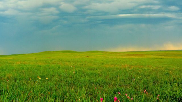 tallgrass prairie national preserve