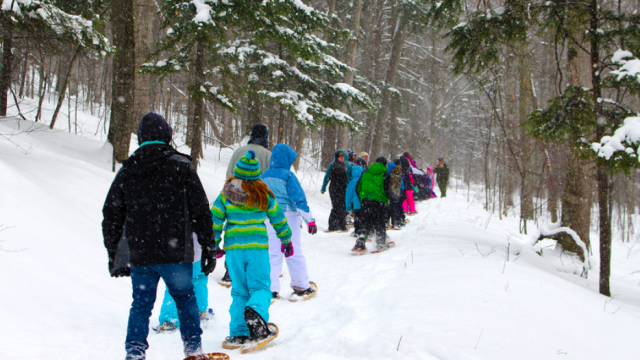 10 Great National Parks For Winter Activities - National Park Trust