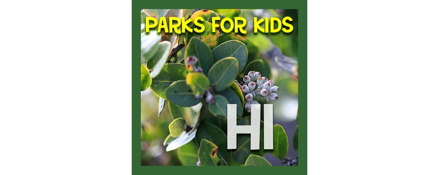 Hawaii - Parks For Kids